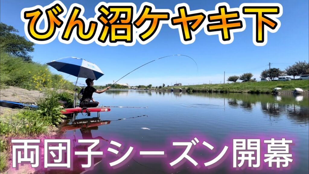 びん沼ケヤキ下でへらぶな釣り。両団子シーズン開幕！上手い人の隣は釣れないなぁ〜w