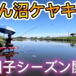 びん沼ケヤキ下でへらぶな釣り。両団子シーズン開幕！上手い人の隣は釣れないなぁ〜w