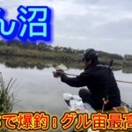びん沼どんぐりでへらぶな釣り！代打ちで爆釣wグル宙最高に楽しい！