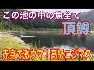 【エリアトラウト】高級ニジマス狙いに行ったけど激ムズ過ぎて戦線離脱！？w川場キングダム【釣り女子】