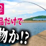 ダイソーの『釣り用品』だけで釣りしたら...