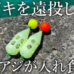 サビキやカゴ釣りで良型のアジが入れ食い！昼間の堤防で時合を先取りする［意外な狙い方］を紹介【秋の釣り旅】