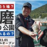 【須磨海づり公園】どんな釣り場になったのか、釣具店スタッフが最速実釣レポート!!