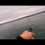 【浜名湖釣り】🎣早朝セットアッパーを投げてみたら…