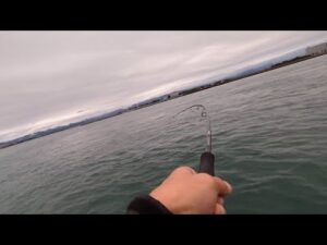 【浜名湖釣り】🎣早朝セットアッパーを投げてみたら…