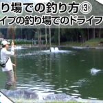 フライフィッシング入門#018管理釣り場での釣り方③「ポンドタイプの釣り場でのドライフライ」/Tiemco Fly Fishing JP/ティムコ フライフィッシング