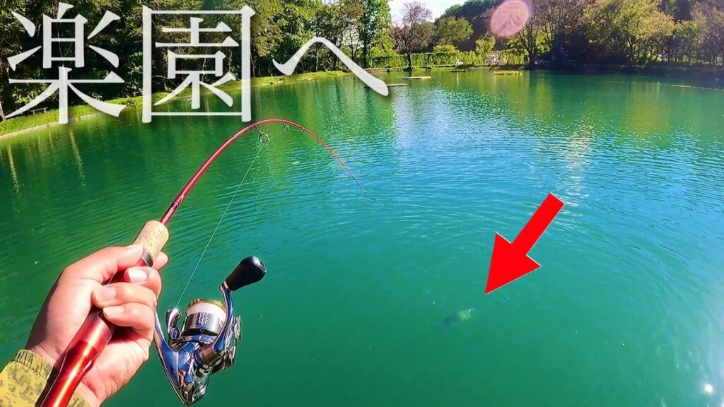 【爆釣！】100匹超えができる管理釣り場に行く【エリアトラウト　白馬八方ニレ池フィッシングセンター】