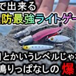 ダイソーの100円ライトゲームはドラグ爆鳴り釣れすぎで釣果はライトじゃありません