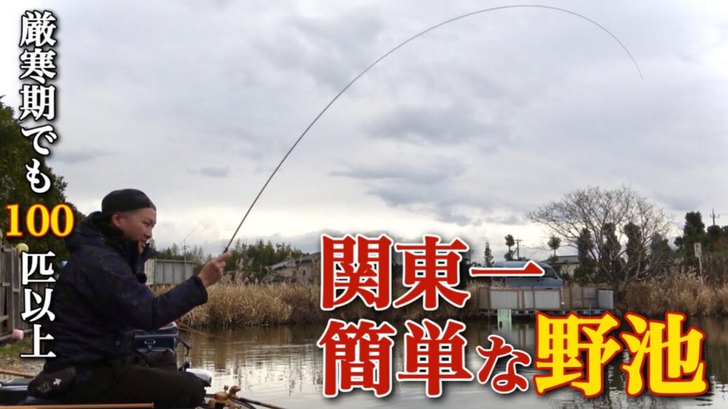 関東一簡単な野池で厳寒期の底釣り！誰でも100枚ヘラブナが釣れる神池発見！