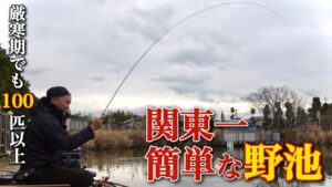 関東一簡単な野池で厳寒期の底釣り！誰でも100枚ヘラブナが釣れる神池発見！