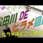 高知県西部の釣り 12月初旬の松田川でヒラメ狙い