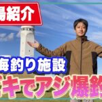 【本牧海釣り施設】12月もアジ爆釣！昼間アジが釣れるサビキのメッカ！泳がせ釣りで青物も狙える