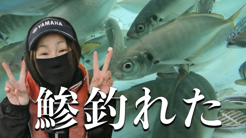 やっと釣れた！12月の引縄釣りで鯵ゲット！