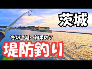 茨城県 堤防釣り 寒さが身に染みた…12月釣果は？
