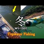 【12月のバス釣り】冬ってこんな釣れ方するの？