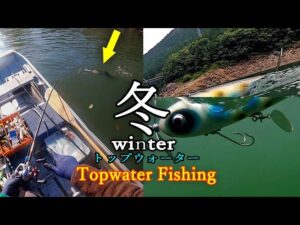 【12月のバス釣り】冬ってこんな釣れ方するの？