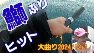 静岡県湖西市　浜名湖新居海釣り公園　青物釣り　ショアジギング　大曲り開幕です。　釣れたぜ、ばらしたぜ、楽しい12月1日の大曲り
