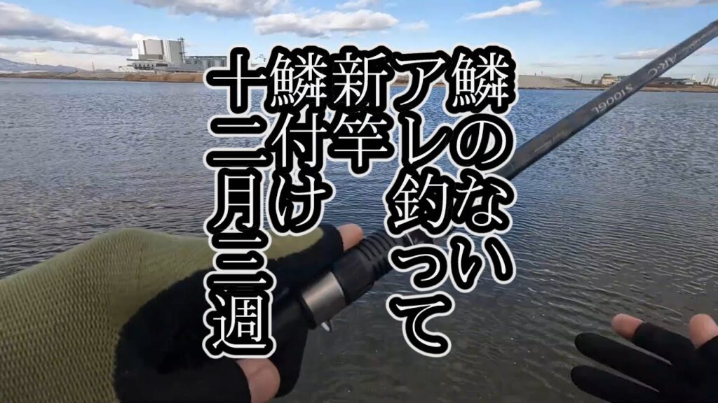 鱗のないアレ釣って 新竿鱗付け 12月3週