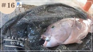 第16話【君も今年の冬はコブダイを釣らないかい　平磯海釣り公園　前編】