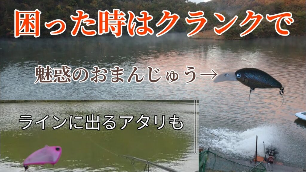 【管理釣り場】フィッシングレイクたかみや　　そろそろ釣れるかな…？現状把握2回目