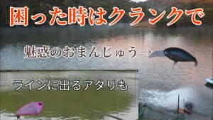 【管理釣り場】フィッシングレイクたかみや そろそろ釣れるかな…?現状把握2回目