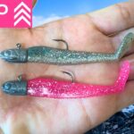 ダイソーで200円のルアーを使ったら「予想外の高級魚」が釣れまくった