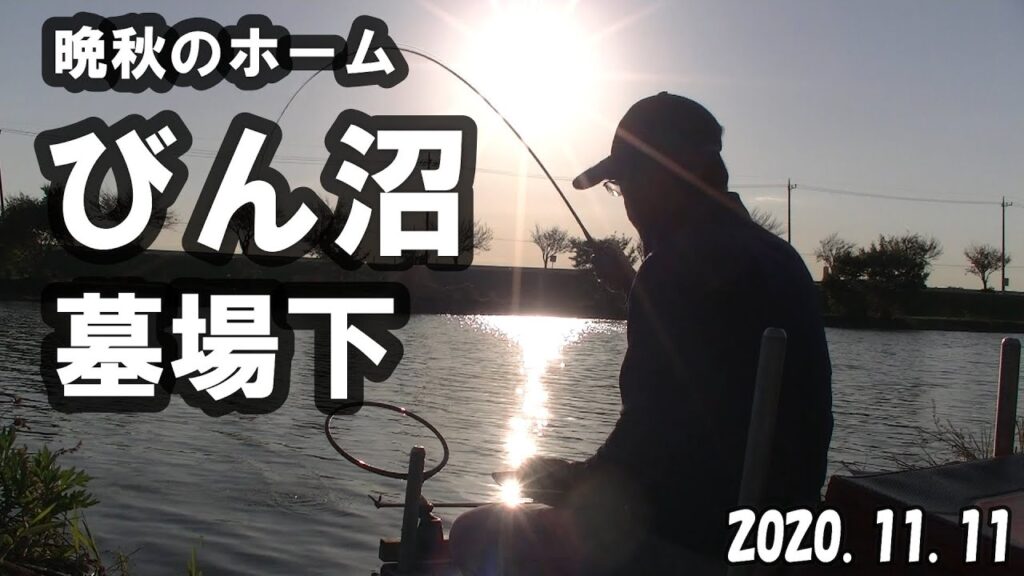 【びん沼　墓場下】久々のホームでヘラブナ釣り！やはりびん沼はすごいです！！2020.11.11