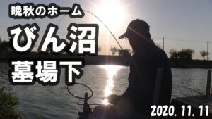【びん沼　墓場下】久々のホームでヘラブナ釣り！やはりびん沼はすごいです！！2020.11.11