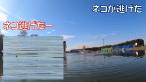 ヘラブナ釣り・屈巣沼（埼玉県）・2021/12/12