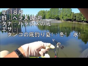 マブナ釣り・別所沼(埼玉県)2021/8/1