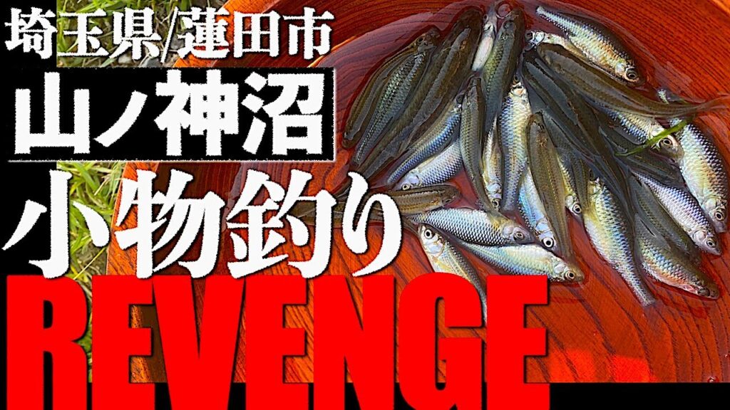 山ノ神沼で小物釣りリベンジ【2023.04.27】