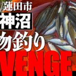 山ノ神沼で小物釣りリベンジ【2023.04.27】