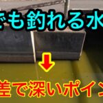 2023.12.9山ノ神沼の水路で釣りしてみた。