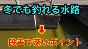 2023.12.9山ノ神沼の水路で釣りしてみた。