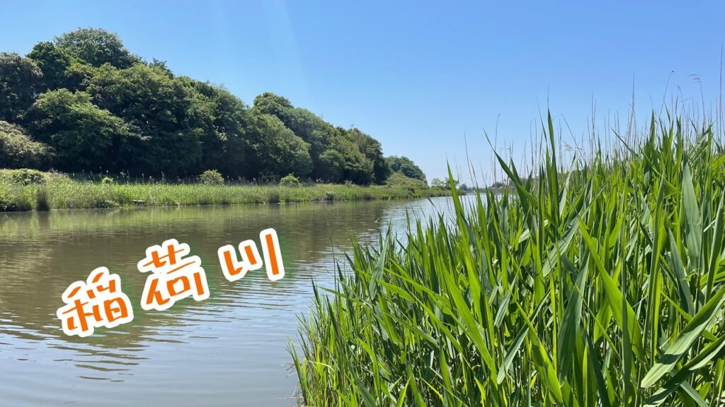 稲荷川でへらぶな釣り　2023.5.3 （牛久沼水系）初場所です