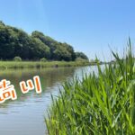 稲荷川でへらぶな釣り　2023.5.3 （牛久沼水系）初場所です