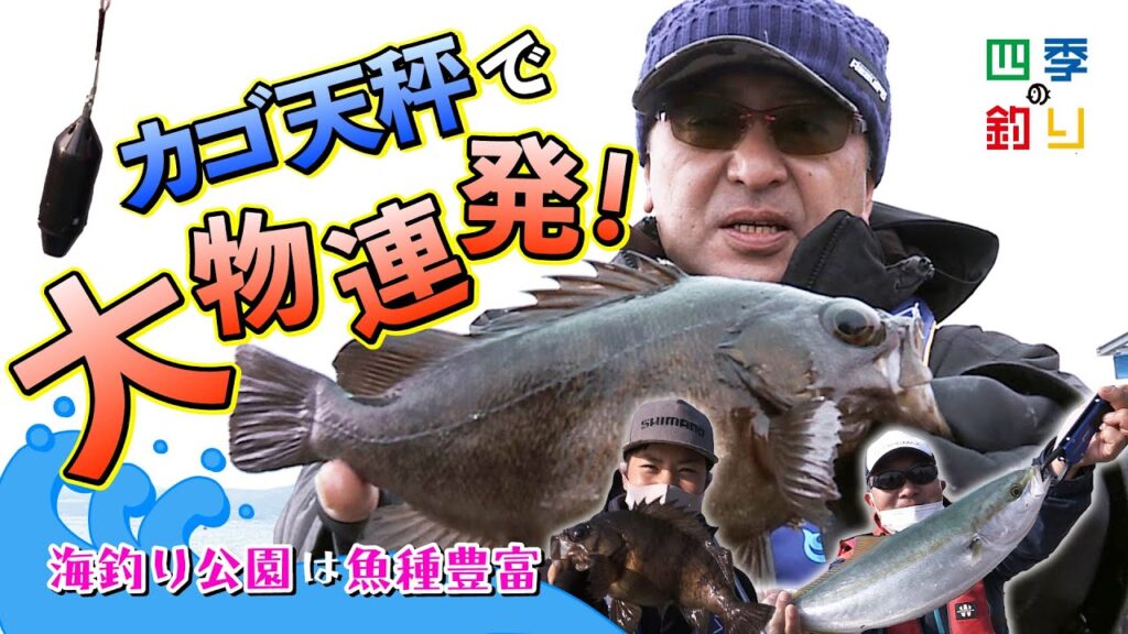 海釣り公園は魚種豊富　カゴ天秤で大物連発！（四季の釣り/2023年1月20日放送）
