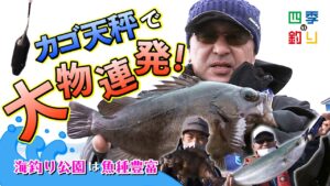 海釣り公園は魚種豊富　カゴ天秤で大物連発！（四季の釣り/2023年1月20日放送）