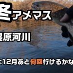 越冬アメマス2024 道東湿原河川【渓流釣り】いよいよ12月あと何回行けるかな