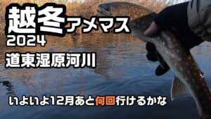 越冬アメマス2024 道東湿原河川【渓流釣り】いよいよ12月あと何回行けるかな