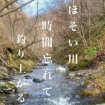 2024年　初冬　まえから気になってた細い川を釣りあがったら、、、