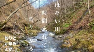 2024年　初冬　まえから気になってた細い川を釣りあがったら、、、