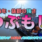 2024年・抜群の強さを発揮！　つぶもじ　浅ダナセット釣り