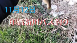 印旛沼水系 印旛新川バス釣り2024.11.12