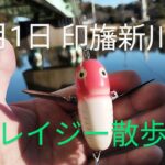 印旛沼水系　印旛新川バス釣り？　クレイジークローラー散歩2024.12.1