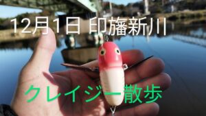 印旛沼水系　印旛新川バス釣り？　クレイジークローラー散歩2024.12.1