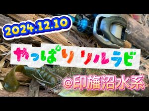 2024.12.10 ドシャロージグフィッシュ🎣やっぱりリルラビ❤️