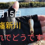 印旛沼水系　印旛新川バス釣り？　ノリーズ魂2024.12.15