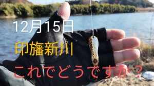 印旛沼水系　印旛新川バス釣り？　ノリーズ魂2024.12.15