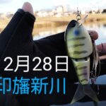 印旛沼水系　印旛新川バス釣り？2024.12.28